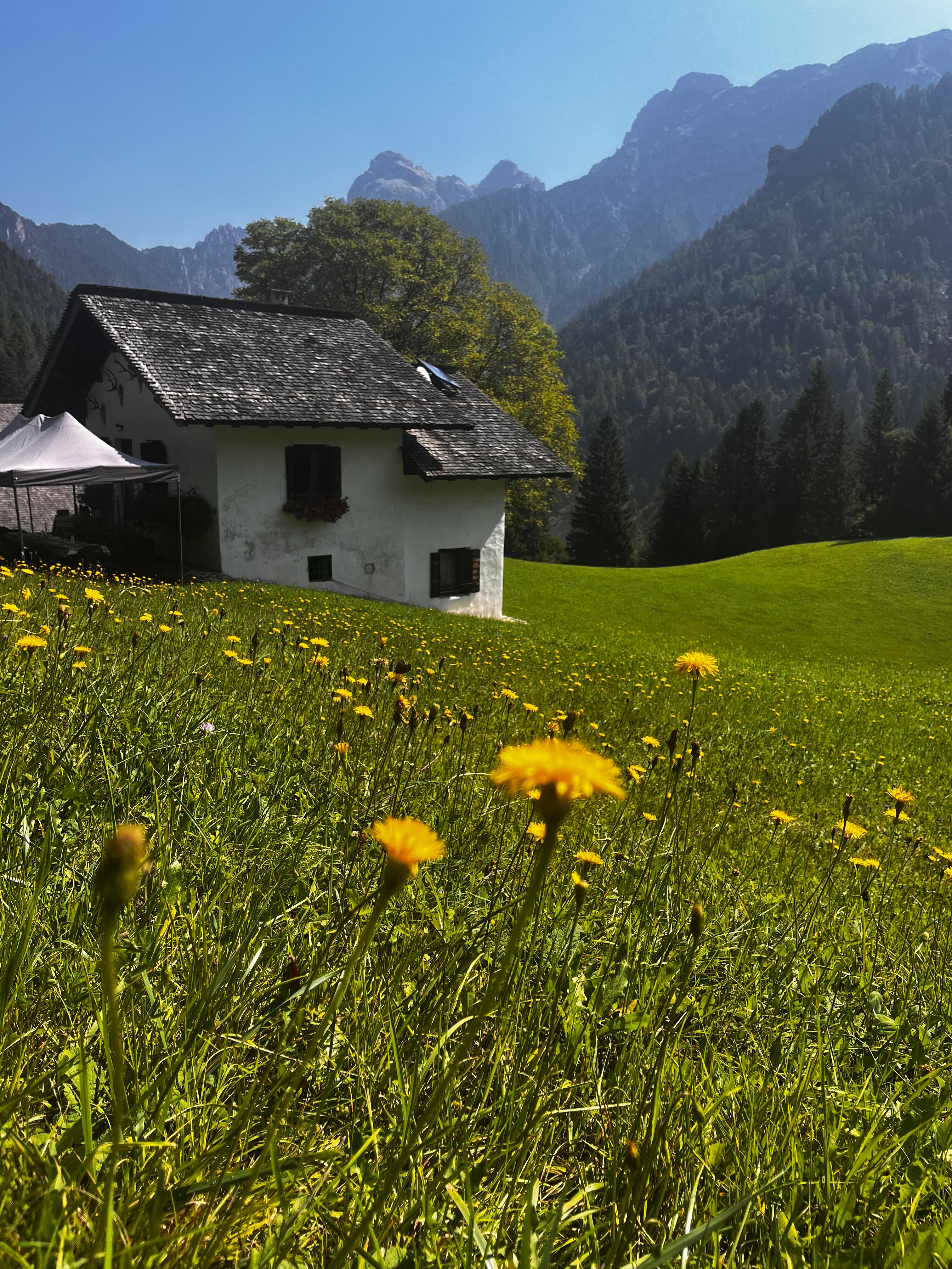 Art And Music Hotel Isolabella-官方