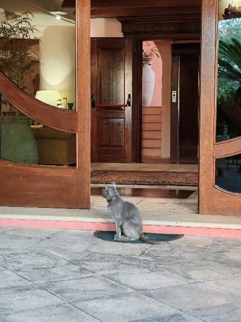 Hotel Il Vecchio Mulino主图