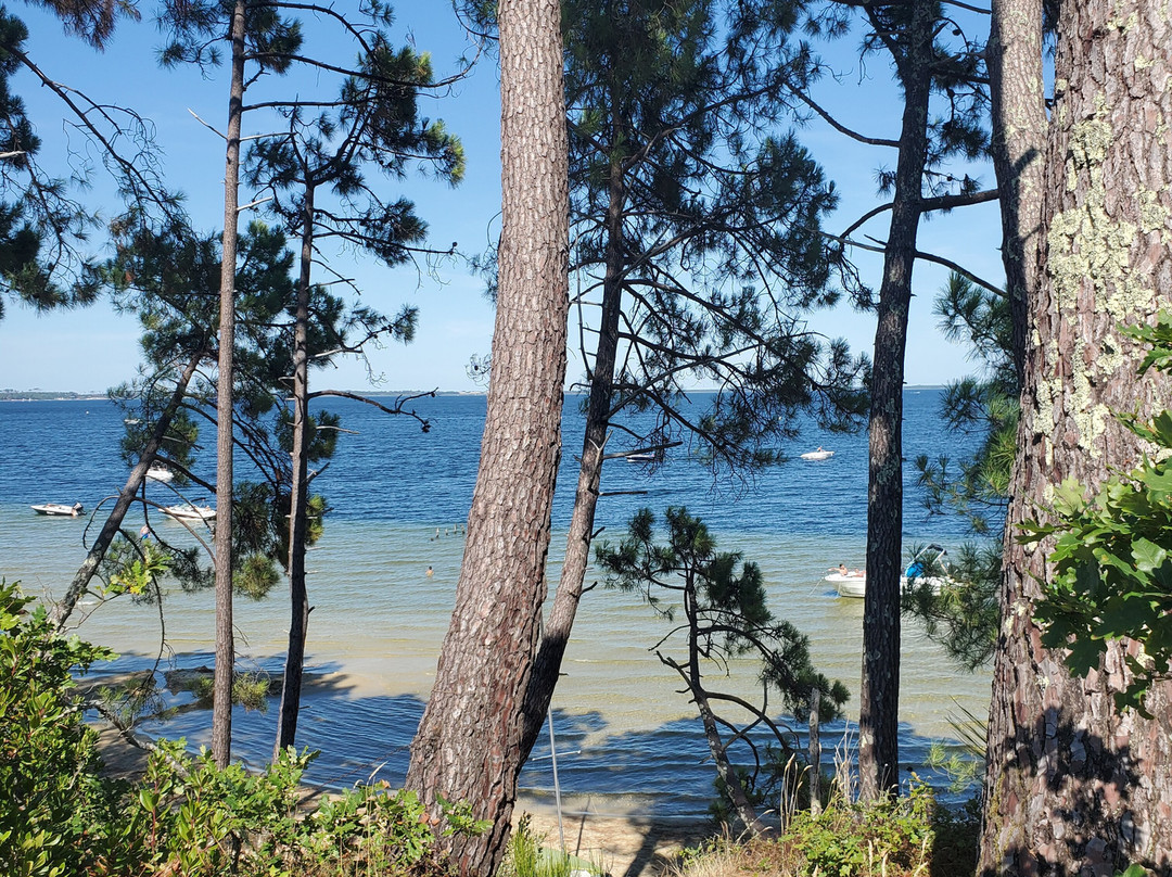 Camping Club Plage Sud - MS Vacances