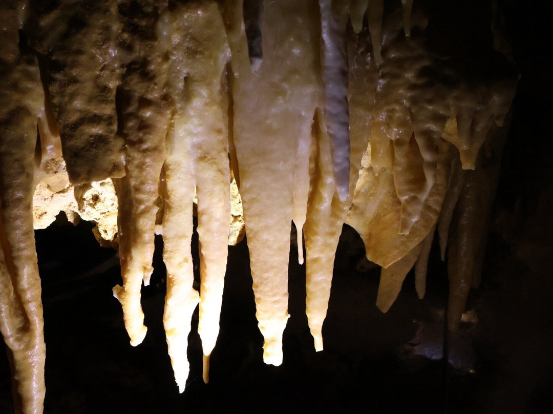 Grotte du Grand Roc-Les Eyzies-de-Tayac-Sireuil必去景点
