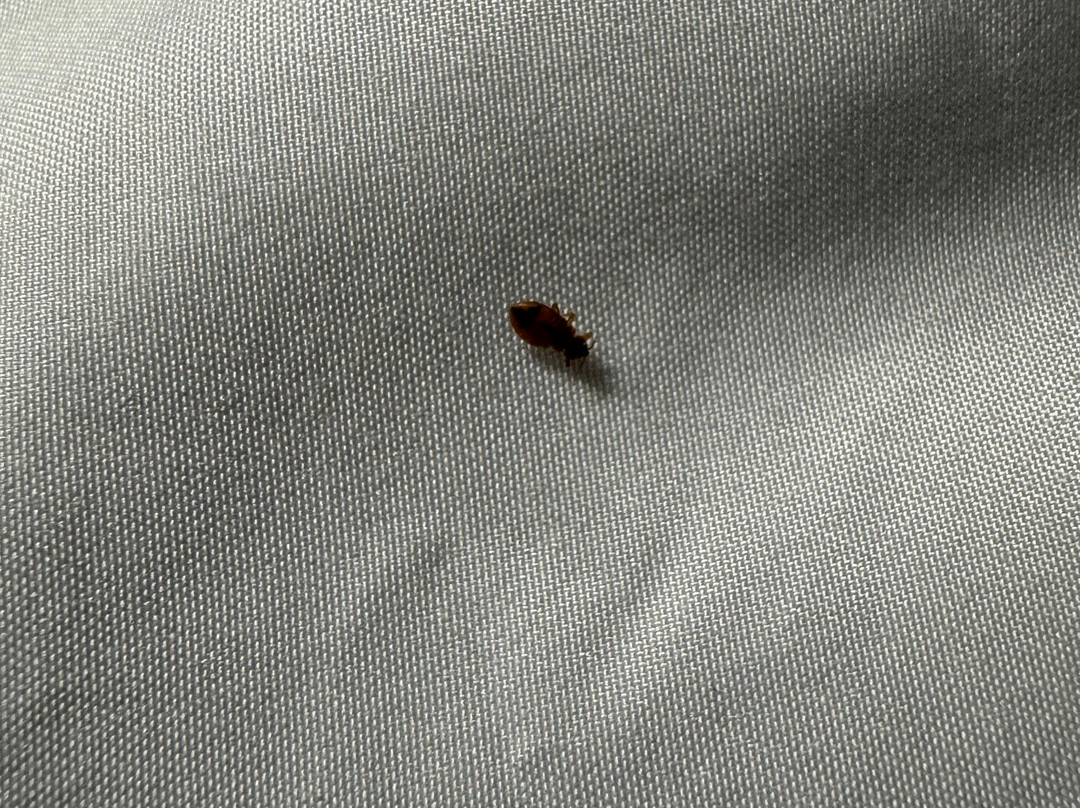 Quality Inn Stuart主图