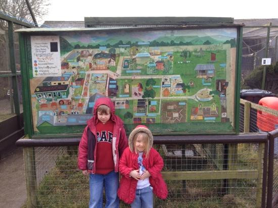 Borth Animalarium-Borth必去景点