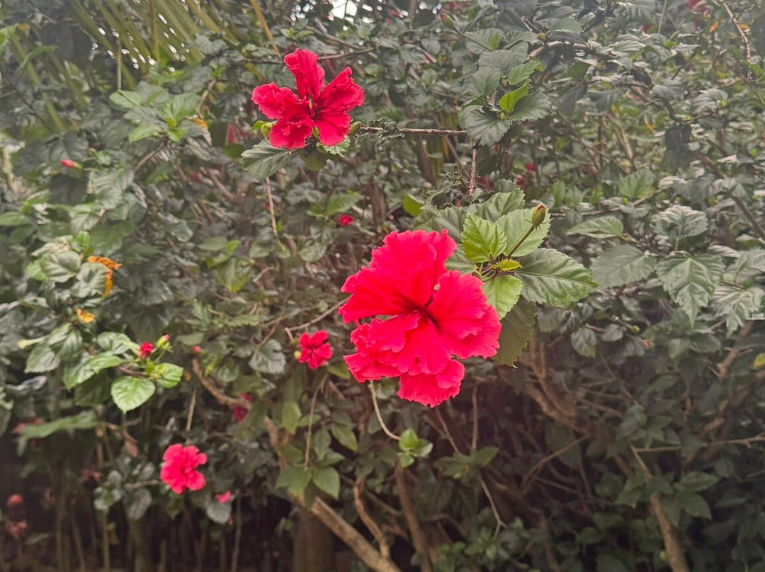 Hotel Alta Las Palomas主图