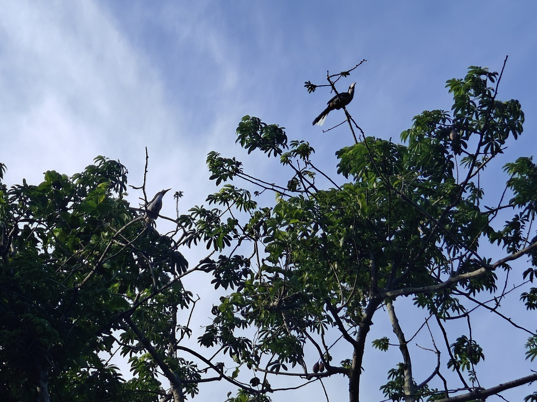 Sri Lanka Trekking-康提必去景点