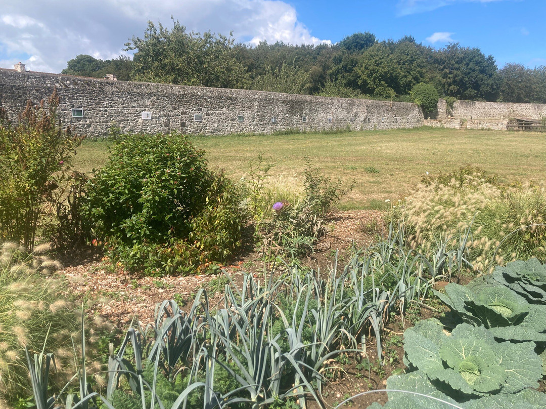 Chateau de Bienassis-Erquy必去景点