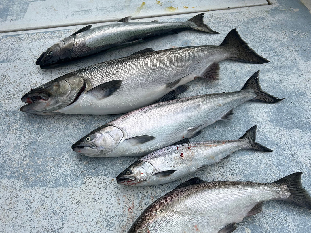 Lakeshore Adventures-Baileys Harbor必去景点