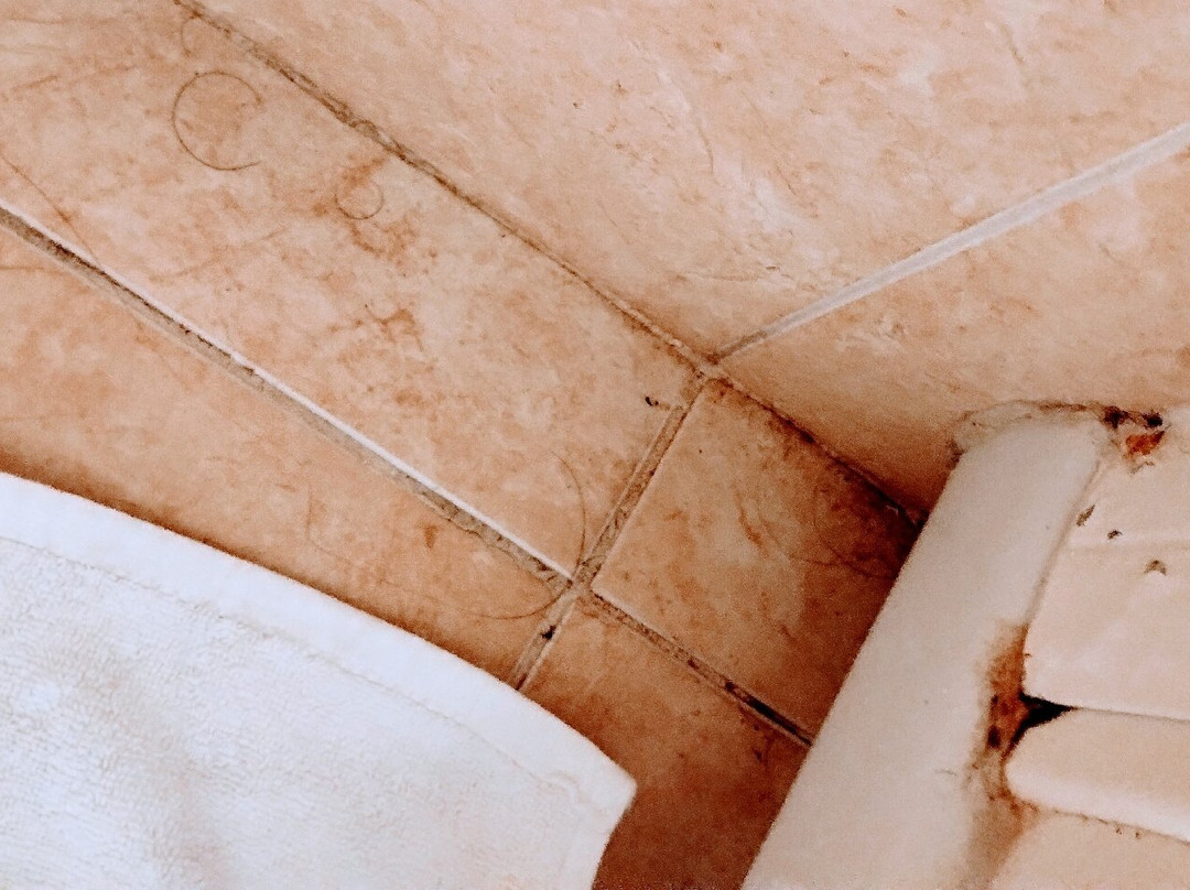 马戈诺莉亚酒店主图