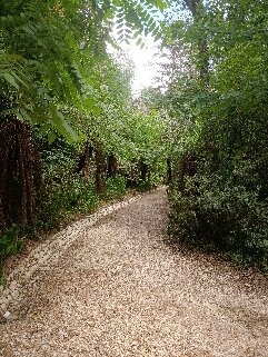 Mata Nacional do Bucaco-卢祖必去景点