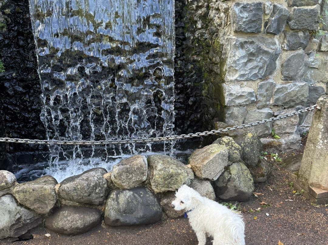 Chiswick House-Chiswick必去景点