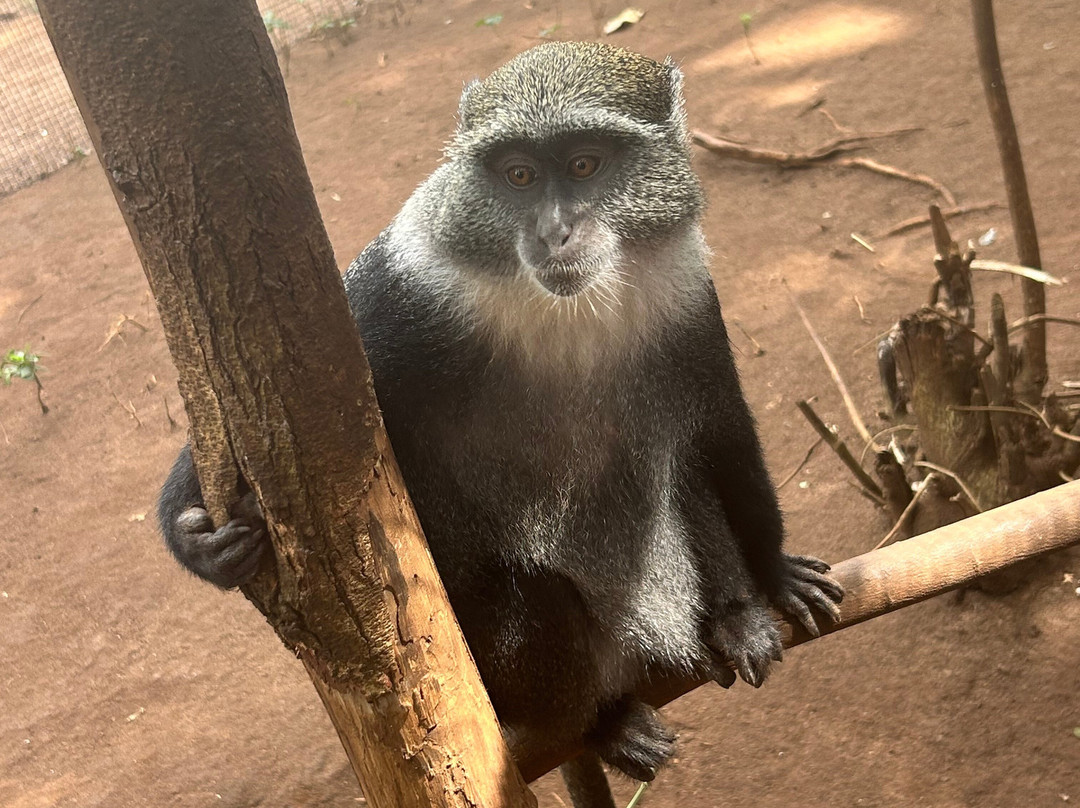 Jumanji Private Tours Zanzibar-Kidoti必去景点