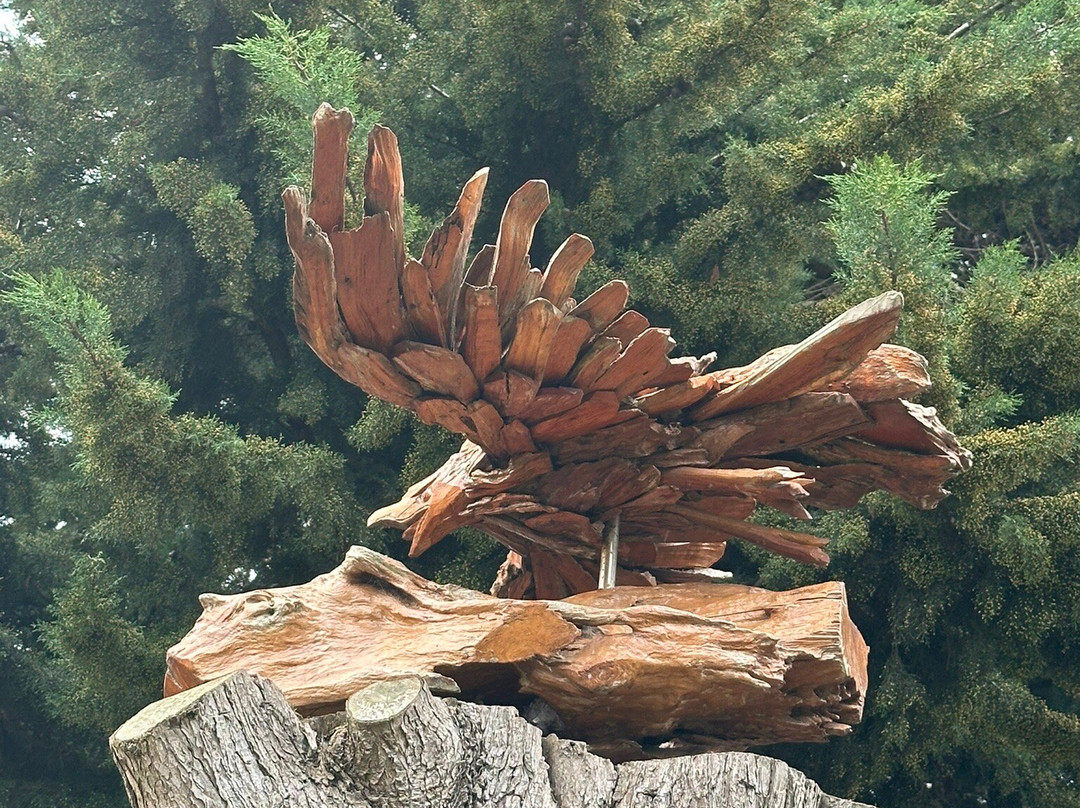 Scotchmans Hill Winery-Drysdale必去景点