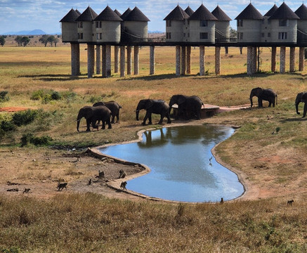 Eagle Wings Tours And Safaris-蒙巴萨必去景点