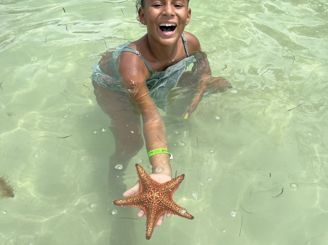 Cayman Private Charters-乔治城必去景点