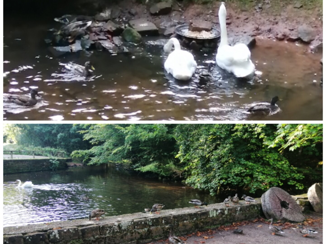 Karlstalschlucht-Trippstadt必去景点