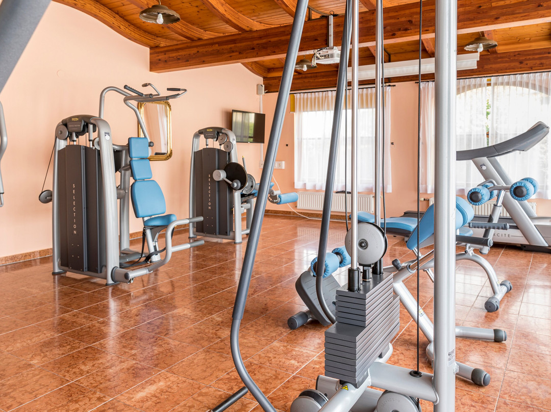 Der Marienhof- mein Vitalhotel主图