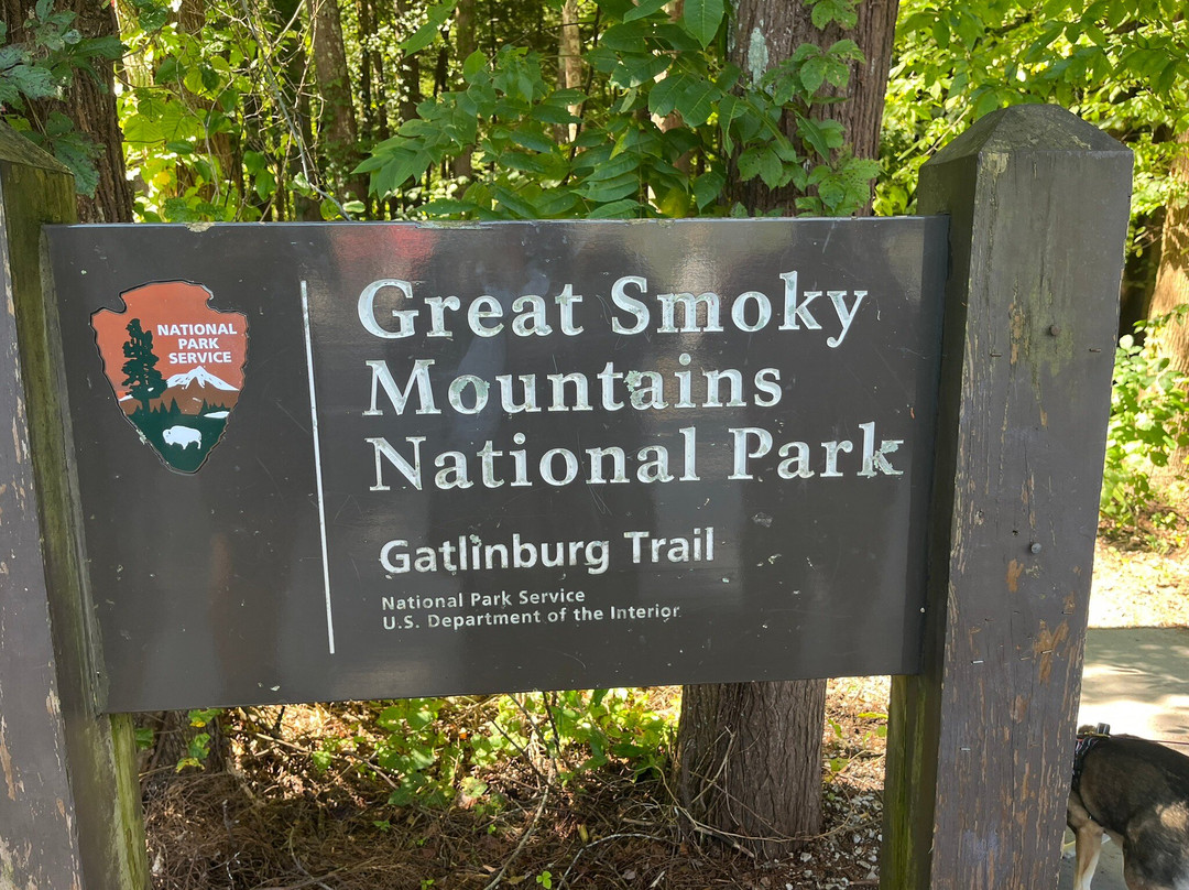 Gatlinburg Trail-大雾山国家公园必去景点