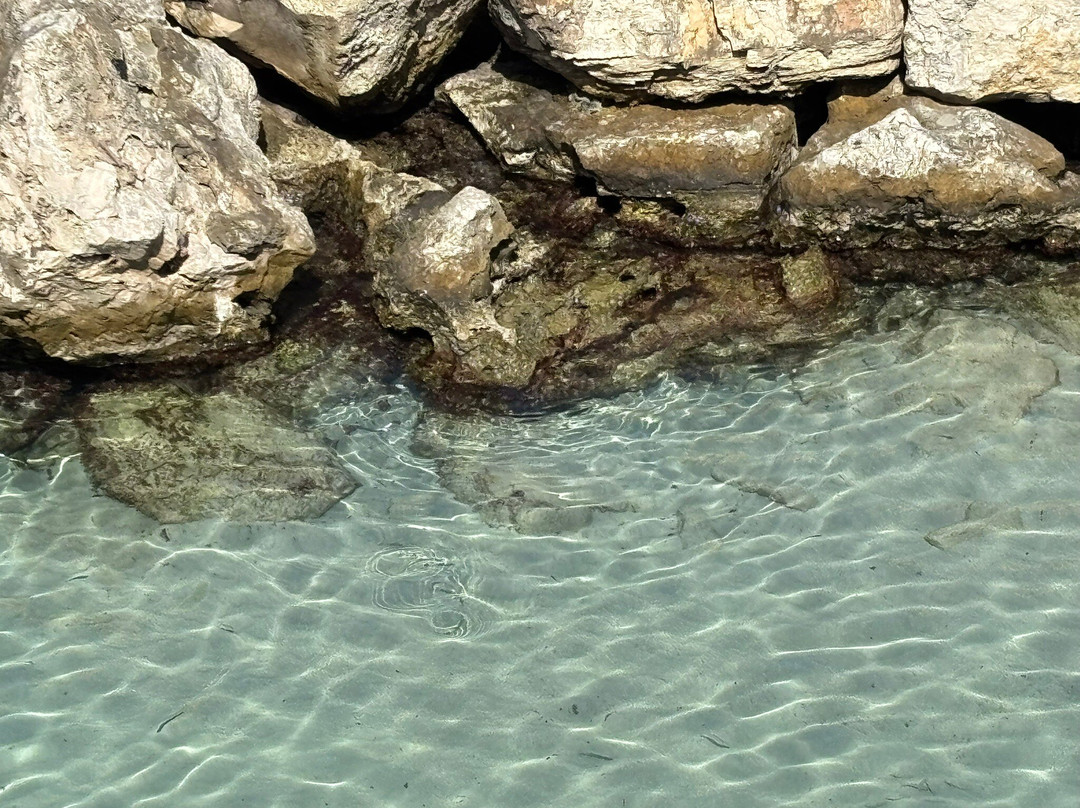 Palma Residence by Perle di Puglia主图