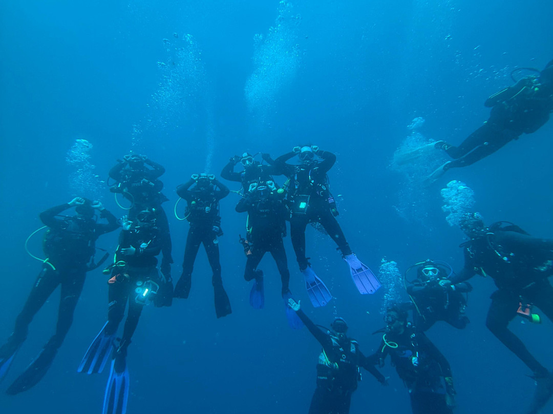 SAFARI, DRIVE & DIVE TOURS-Inhambane必去景点