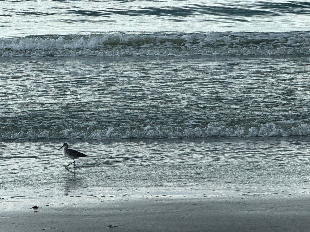 Indian Rocks Beach Access-Indian Rocks Beach必去景点