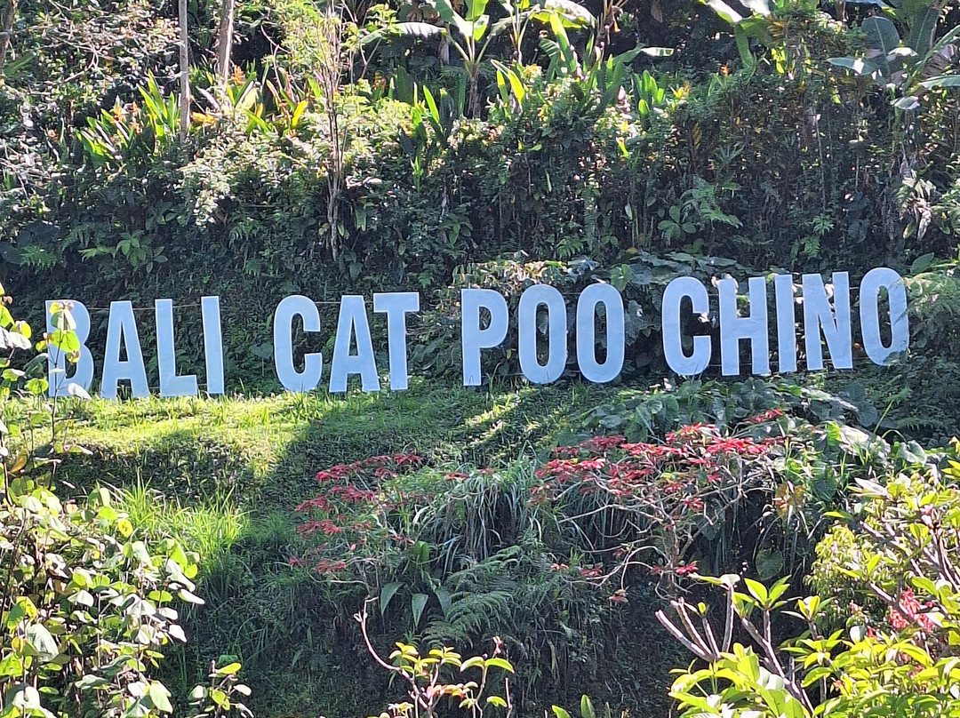 Bali Fun Bike Adventure-Pejeng Kaja必去景点