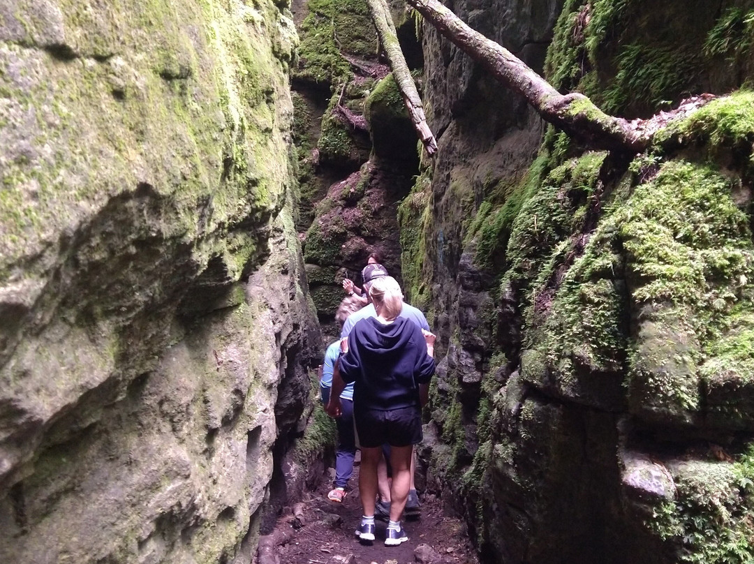 Step it Up Adventures-科林伍德必去景点