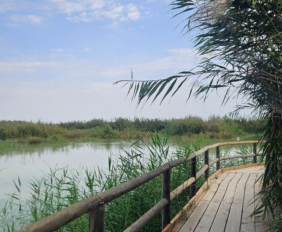 Parque Natural el Hondo-Crevillente必去景点