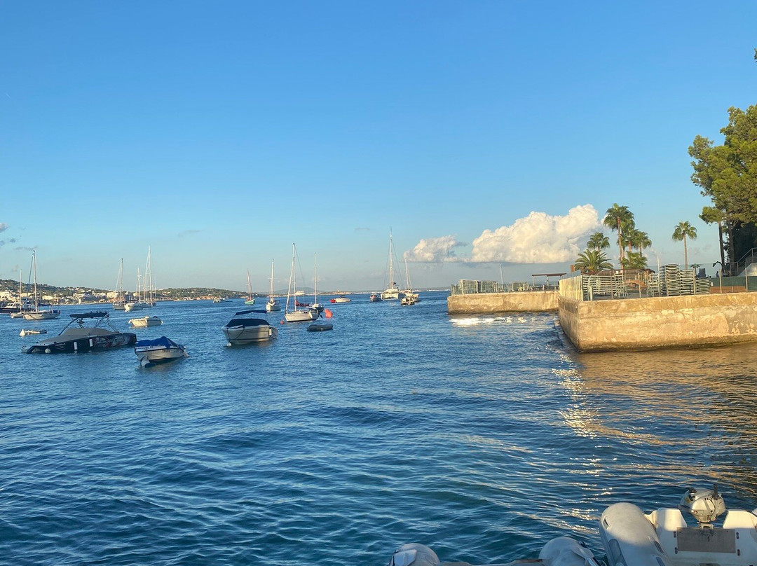 JJs Sports Lounge-马洛卡帕尔马必去景点