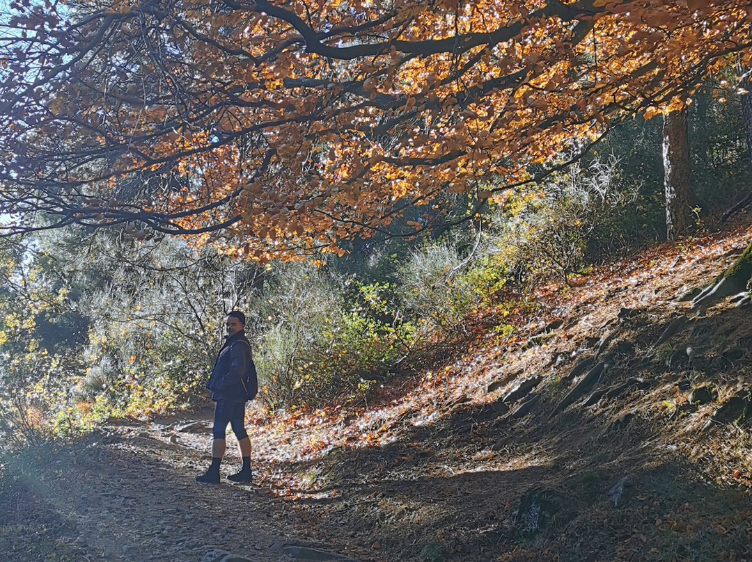 La Cruz De Rubens-埃尔·埃斯科里亚必去景点