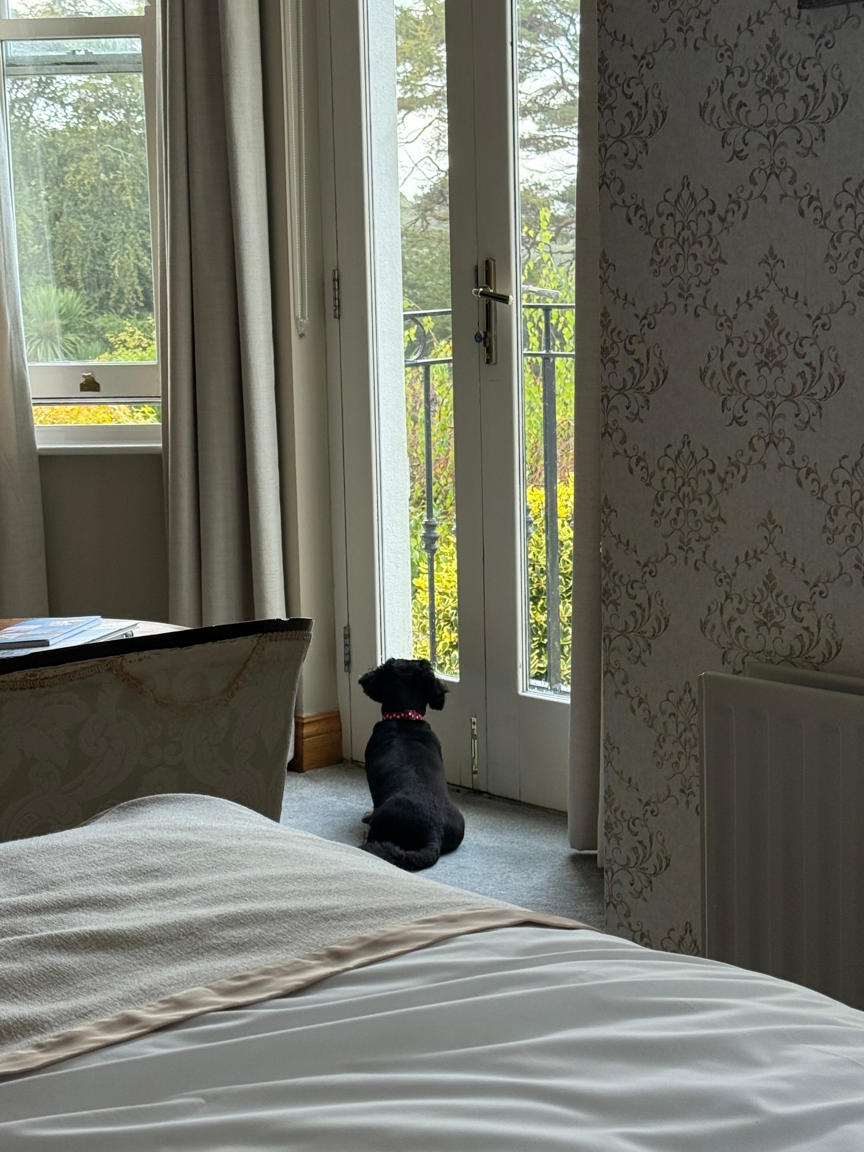 海景小屋酒店-酒店景观