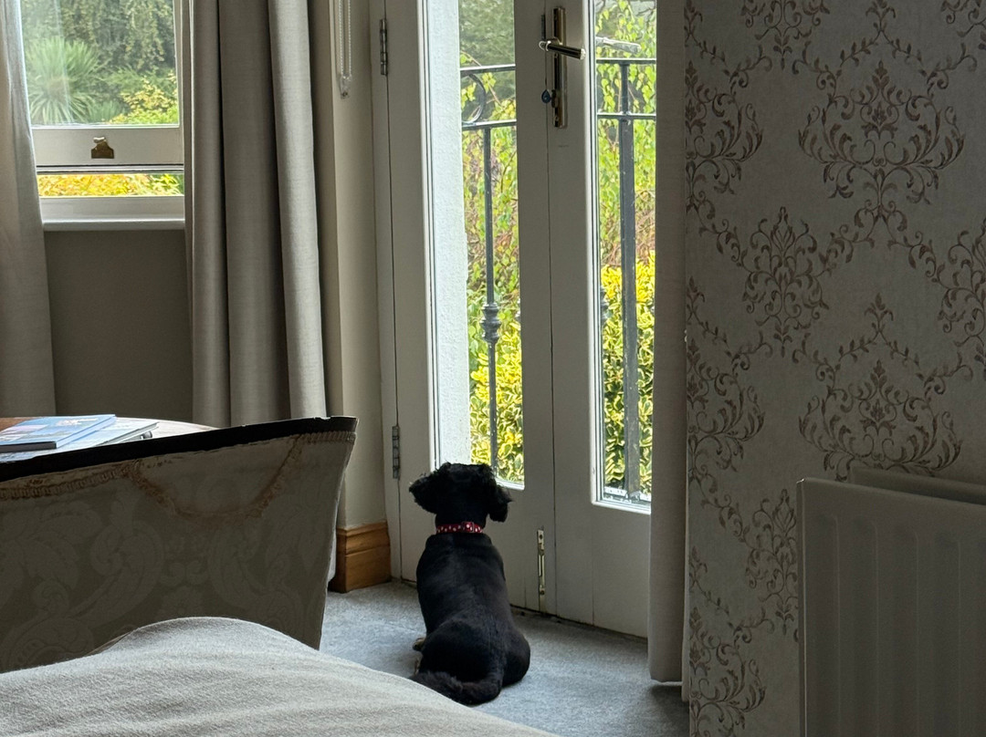 海景小屋酒店主图