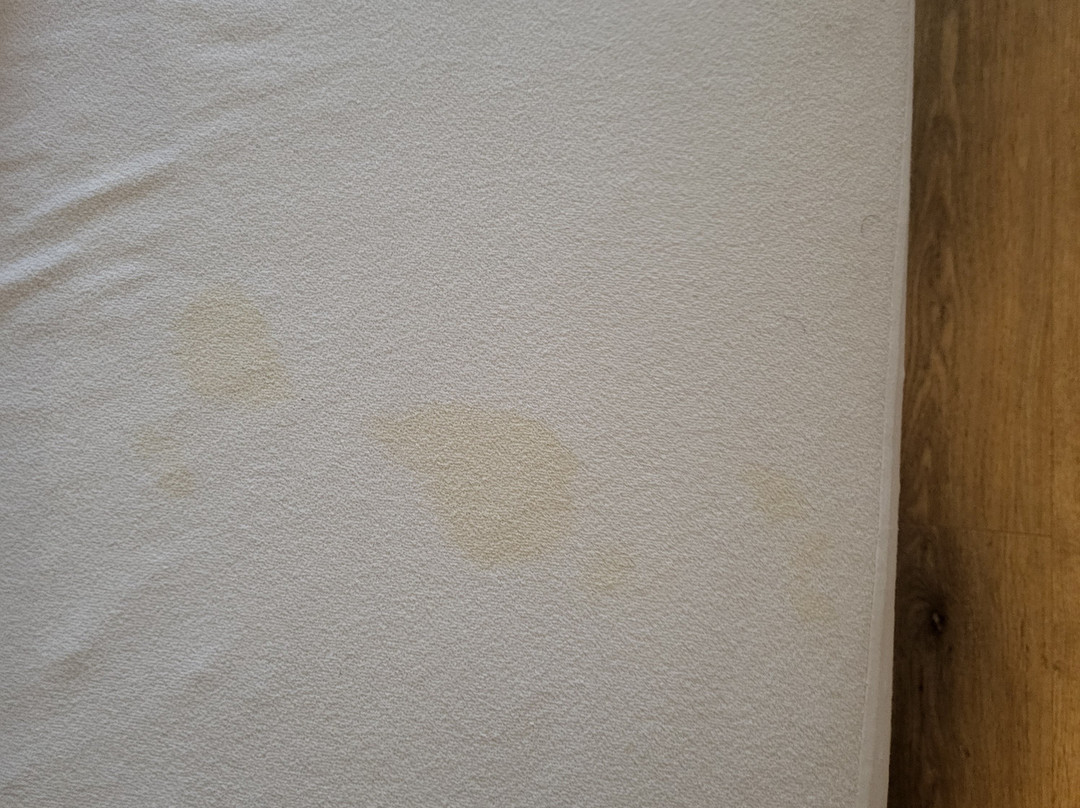 贝斯顿豪华酒店-阿姆斯特市北主图