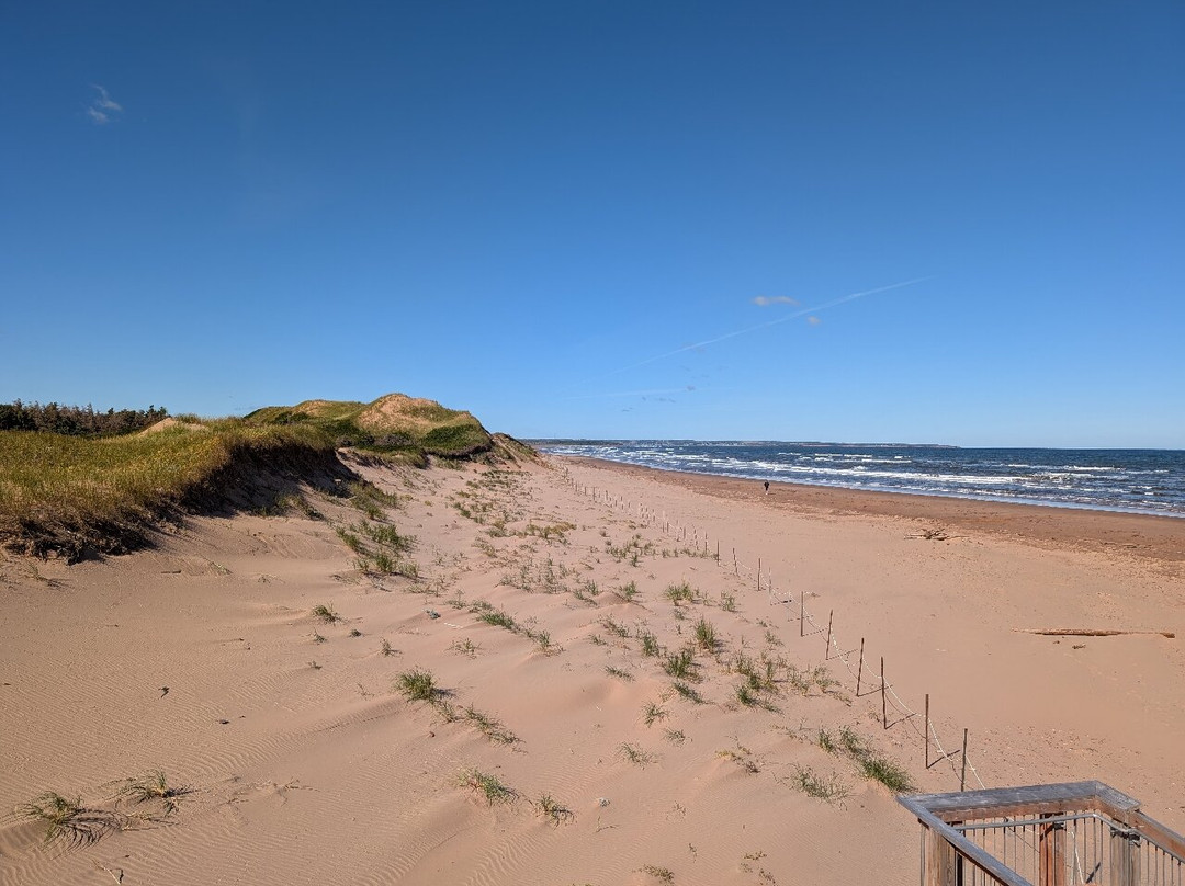 Red Sand Tour-夏洛特镇必去景点