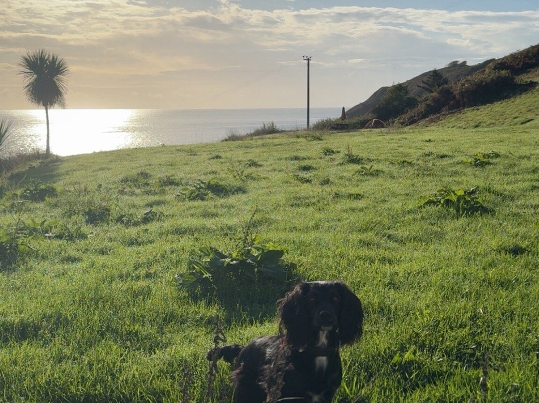 Porthkerris Divers-St Keverne必去景点