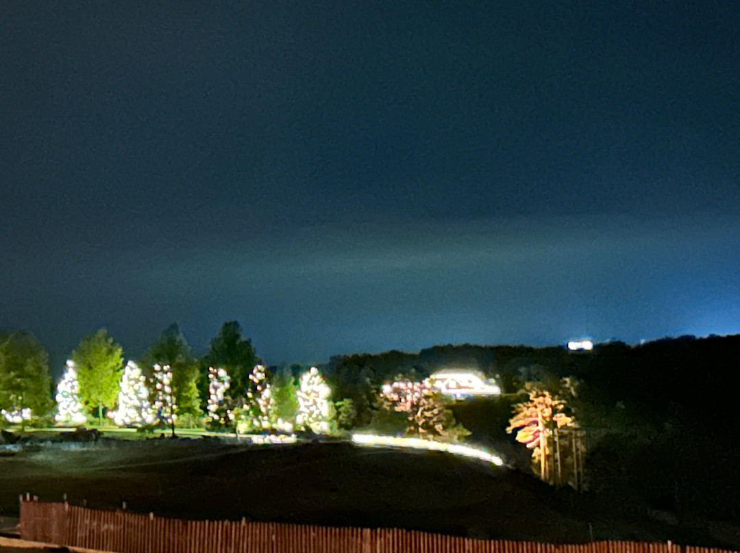 Big Cedar Lodge-Ridgedale必去景点