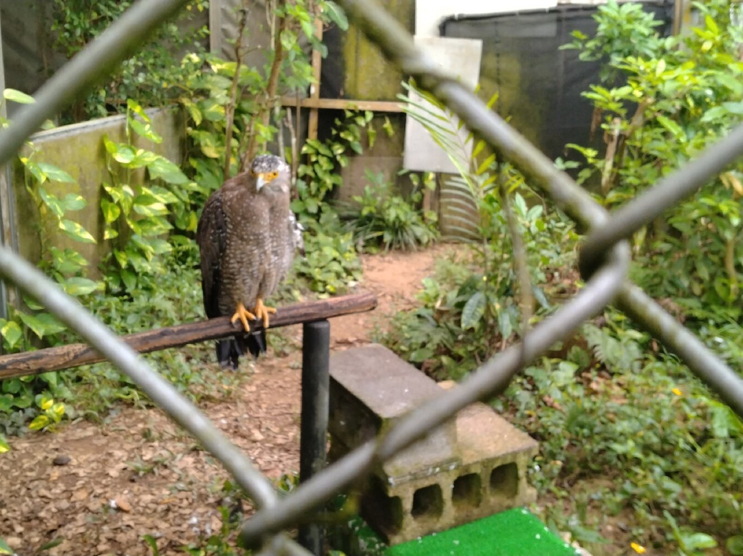 Ishigaki Yaima Village-石垣市必去景点