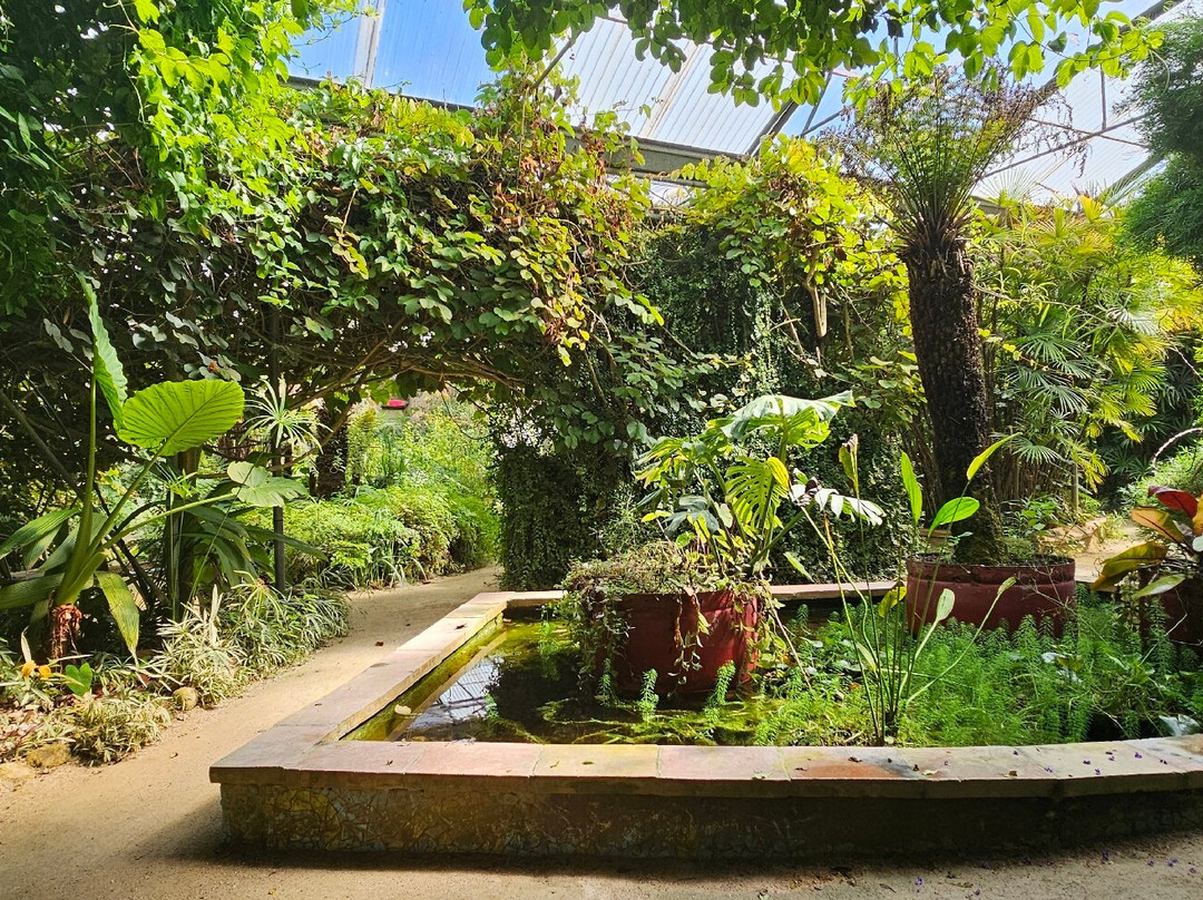 Le Tropique du Papillon-Elne必去景点