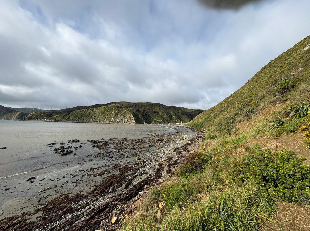 Makara Beach-惠灵顿必去景点
