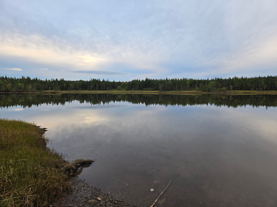 A B&b By The River主图