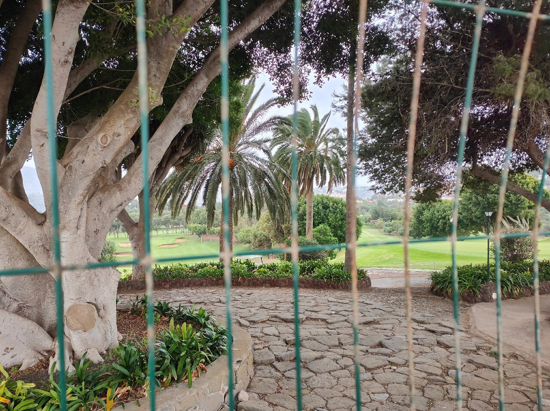 Mirador Pico de Bandama-大加那利岛拉斯帕尔马斯必去景点
