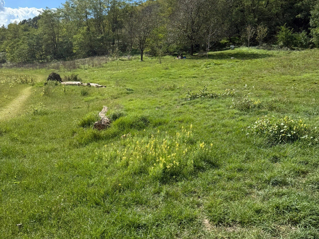 Lago di Canterno-菲乌吉必去景点