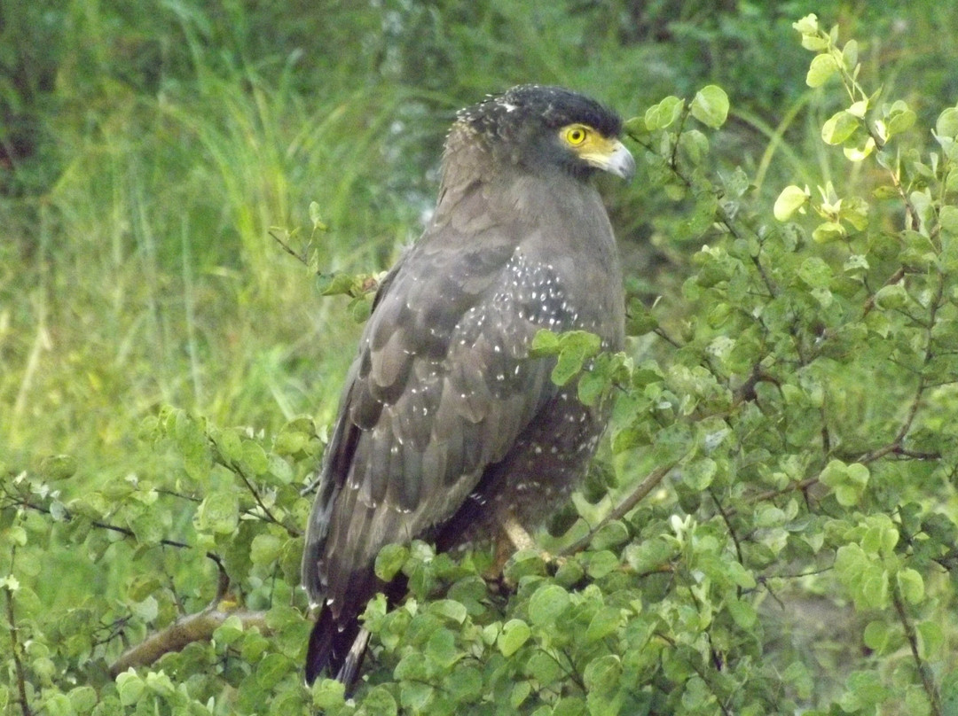 Udawalawe Trails-乌达瓦拉瓦必去景点