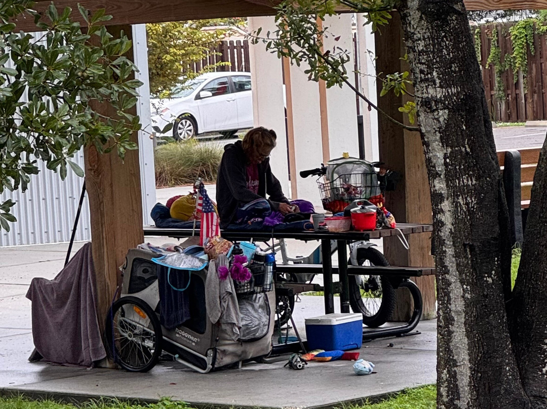 Legacy Trail-萨拉索塔必去景点