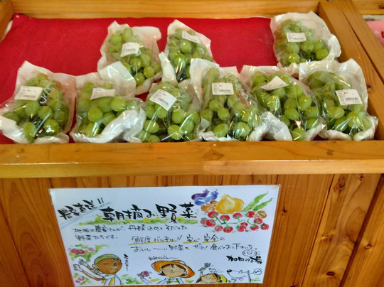 Kada no Yu-饭南町必去景点