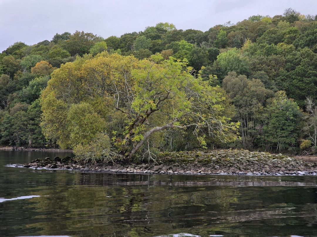 Loch Tay Safaris-Kenmore必去景点