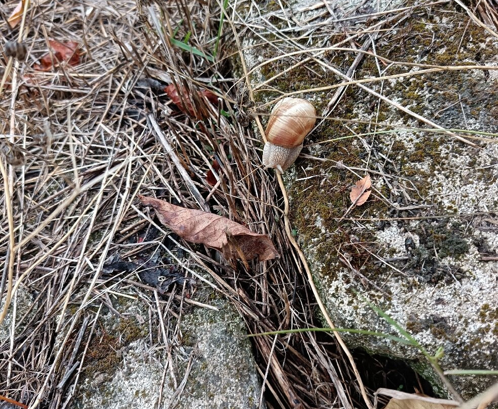 Old Orhei-Orhei必去景点