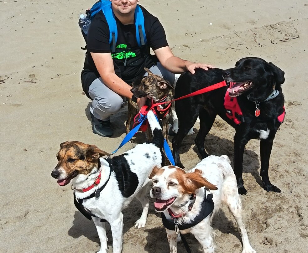 La Feniglia-奥尔贝泰洛必去景点