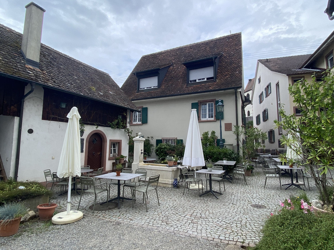 Hotel-restaurant Adler主图