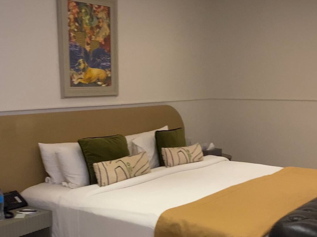 The Nishat Hotel主图