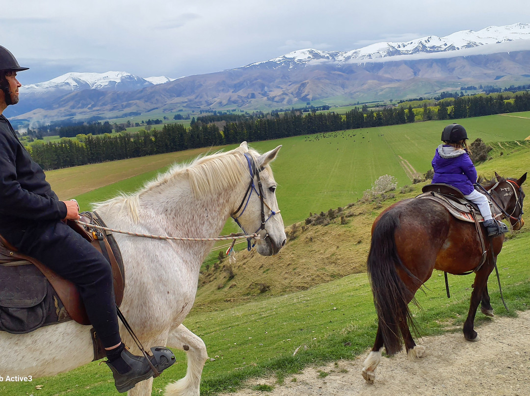 Real Kiwi Horse Trekking-菲尔利必去景点