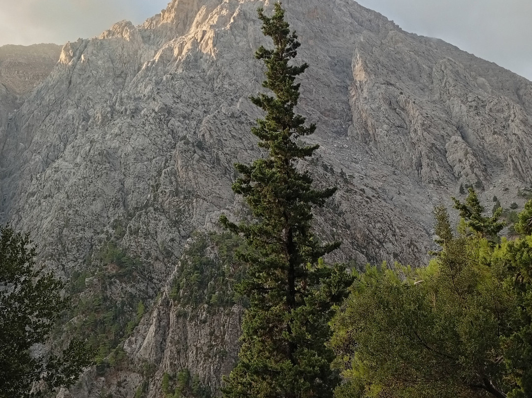 Elafonissos travel-干尼亚必去景点